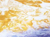 Morning Star (147 cm x 97,5 cm) INTRODUCTIEPRIJS
