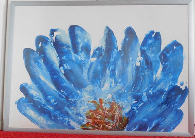 Avinu (Flower Series) (gereserveerd, tijdelijk niet te koop)