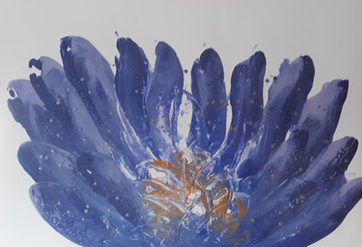 Ionanthos (A1) (Flower Series) (tijdelijk niet te koop)