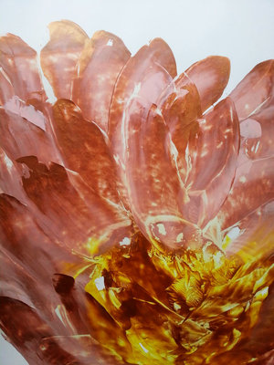 Rental artworks Soul Insight A1 (only available in the Netherlands)