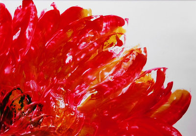 United (Flowering Series) (A2) (tegen meerprijs met andere lijst)